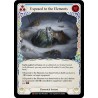 Exposed to the Elements [U-ELE093]